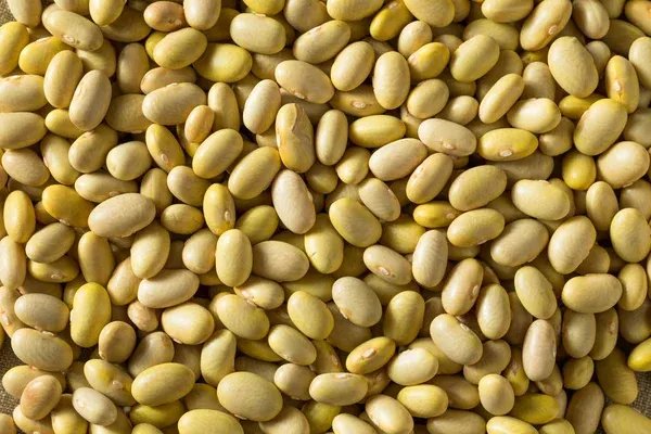 Frijol Peruano — Bulto 25 kg (a granel)